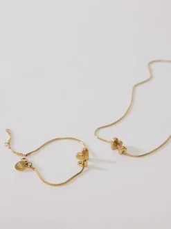 Jewelry Box Schmuck-Abo Flex