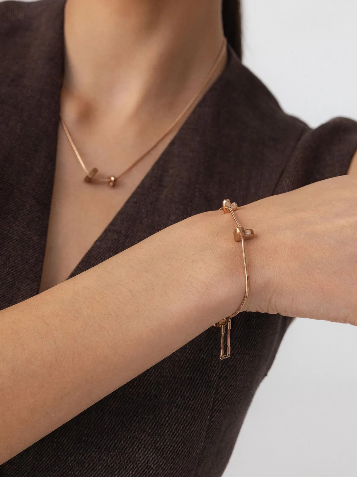 Jewelry Box Schmuck-Abo Flex