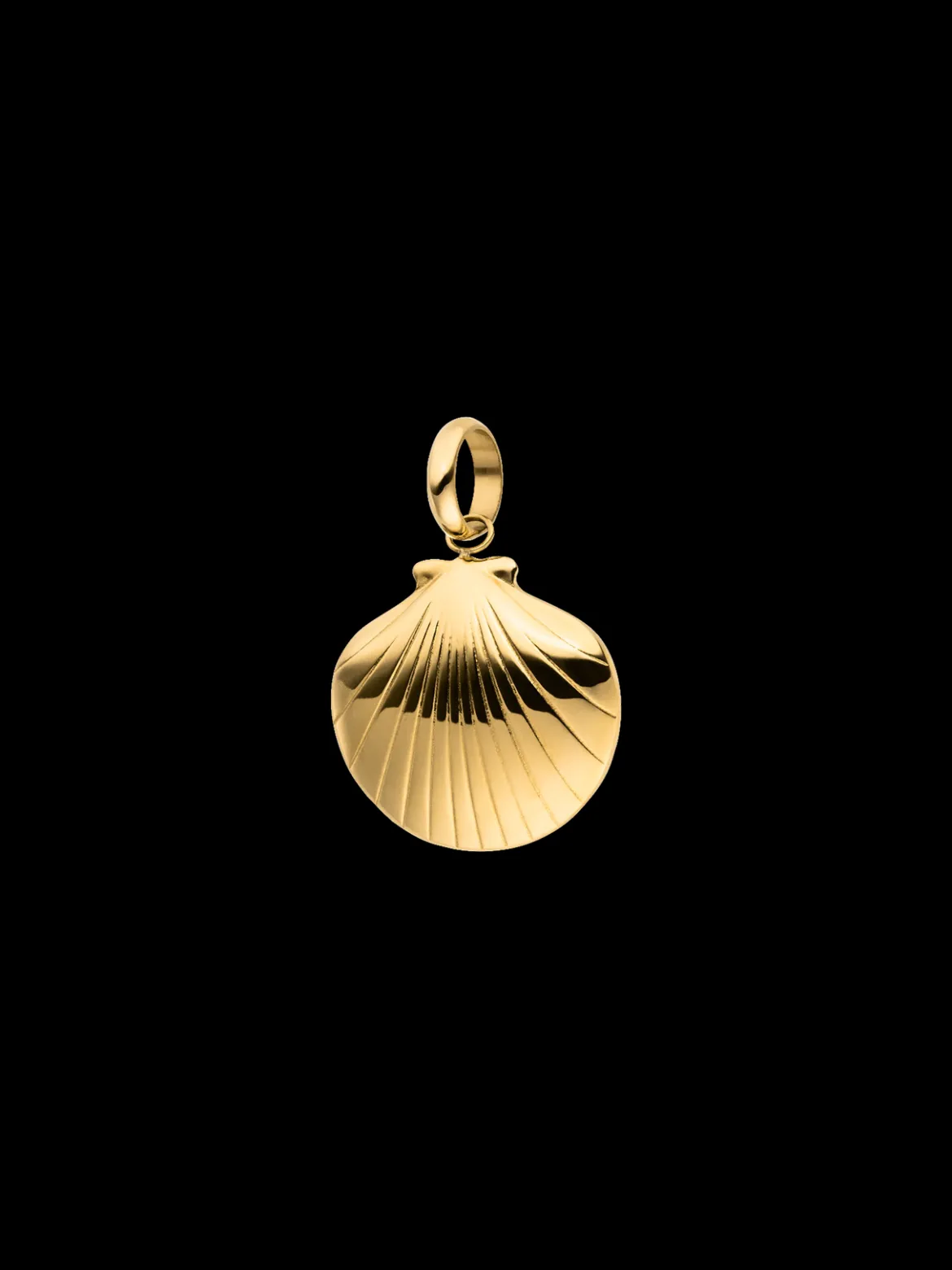Seashell Charm