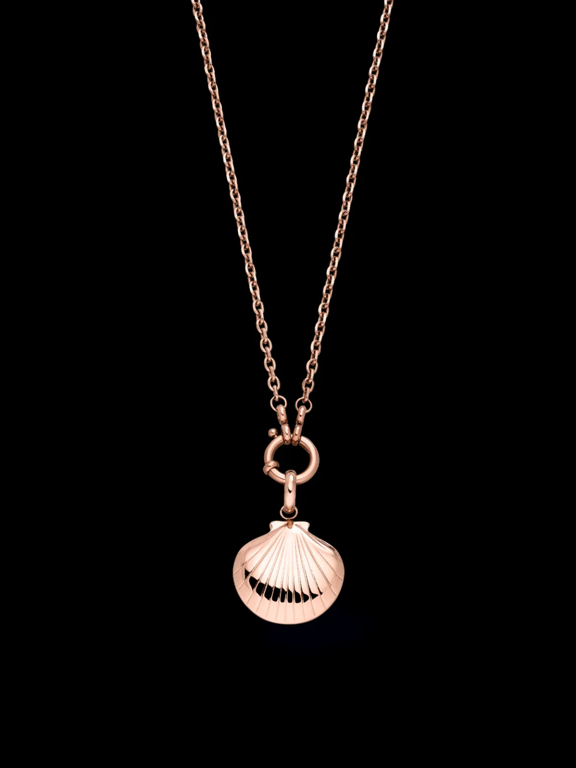 Seashell Charm